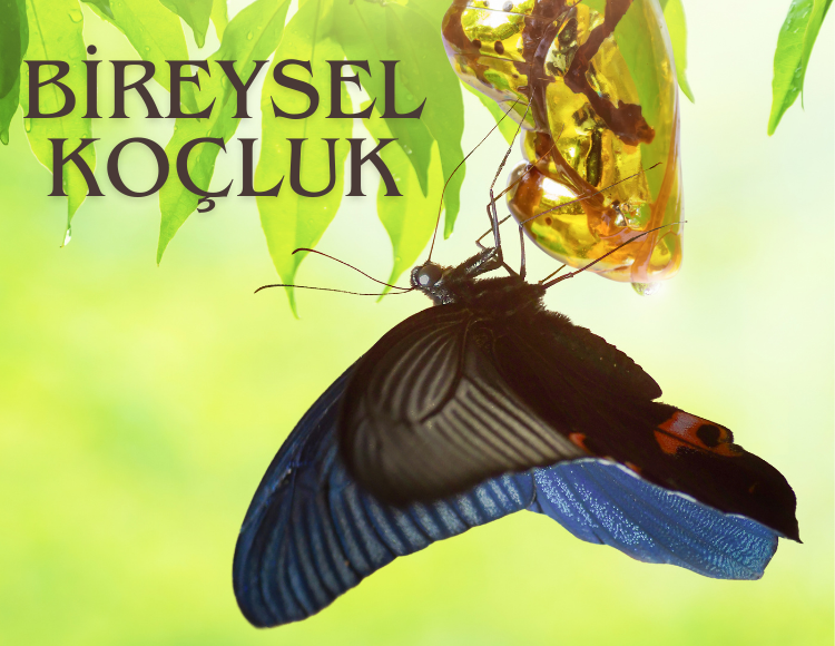 İLİŞKİ KOÇLUĞU